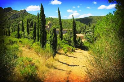 TASTE of Provence Walk