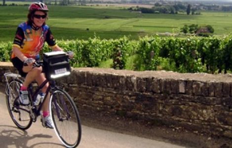 Burgundy Bike Tour - ABBEYS & WINES