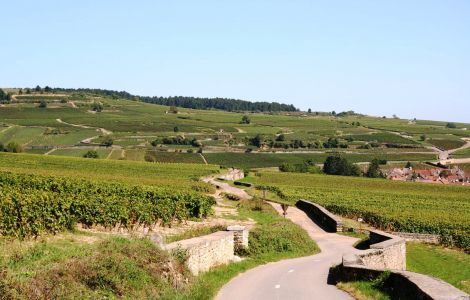 Burgundy Bike Tour - CHALLENGE -