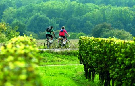 Bordeaux to Dordogne Bike Tour