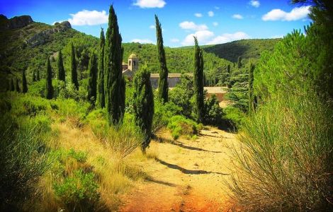Provence Bike Tour - I WANT IT ALL -
