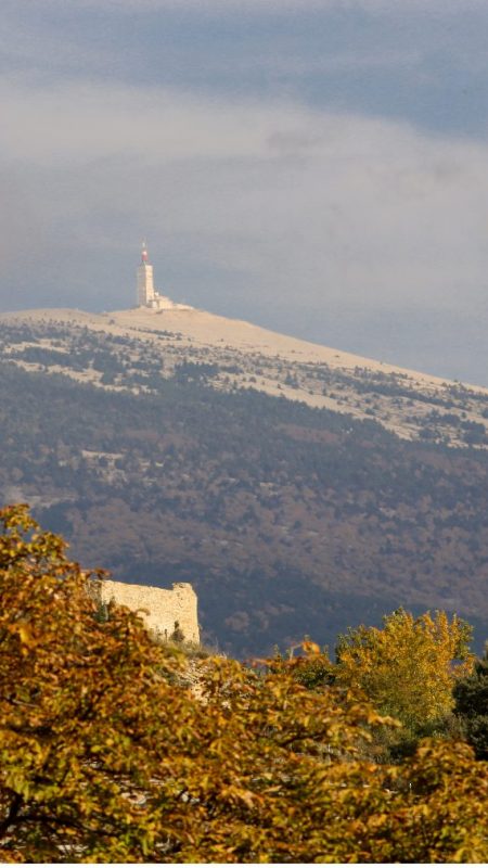 biking tours france