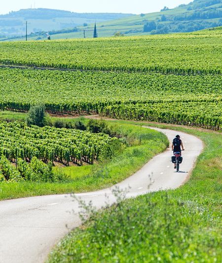 biking tours france